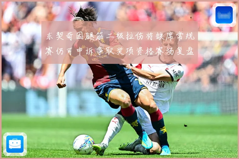 东契奇因腿筋二级拉伤将缺席常规赛仍可申诉争取奖项资格赛场复盘：最新赛事动态与深度分析